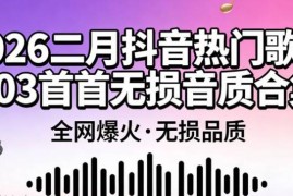【二月抖音爆火】精选2026二月抖音爆火全网流行的303首热门歌曲无损音质合集，首首霸榜[WAV+MP3+11.8GB]    