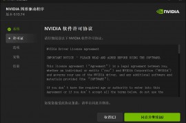 NVIDIA图形驱动 v610.88精简版