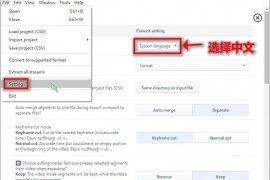 LosslessCut无损剪辑v3.68.0绿色版