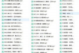 [车载高音质]经典粤语 抖友DJ 个人成名曲 560首
