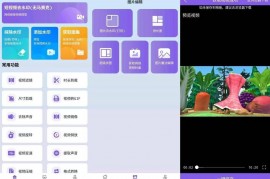免费视频去水印擦除大师_3.7.7.apk
