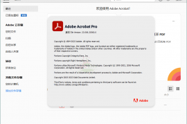 Acrobat Pro DC 2025.001.21288绿色版