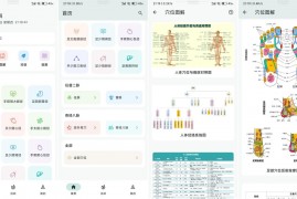 人体穴位图解3.2.1版本